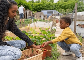 Allotment & Community Plot Waste Clearance