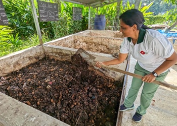 Soil, Clay & Compost Disposal